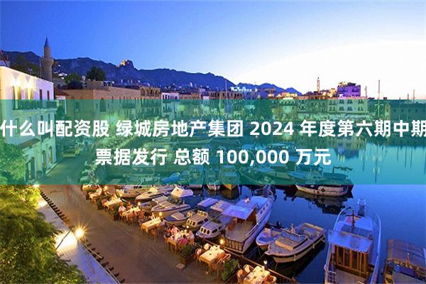 什么叫配资股 绿城房地产集团 2024 年度第六期中期票据发行 总额 100,000 万元