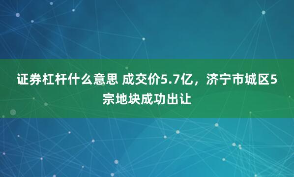 证券杠杆什么意思 成交价5.7亿，济宁市城区5宗地块成功出让