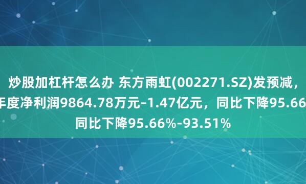 炒股加杠杆怎么办 东方雨虹(002271.SZ)发预减，预计2024年度净利润9864.78万元–1.47亿元，同比下降95.66%-93.51%