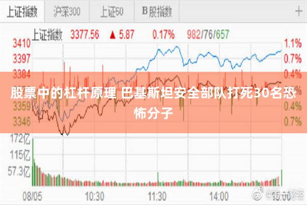 股票中的杠杆原理 巴基斯坦安全部队打死30名恐怖分子