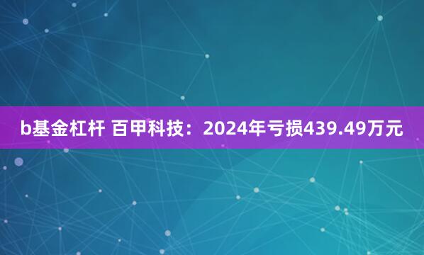 b基金杠杆 百甲科技：2024年亏损439.49万元