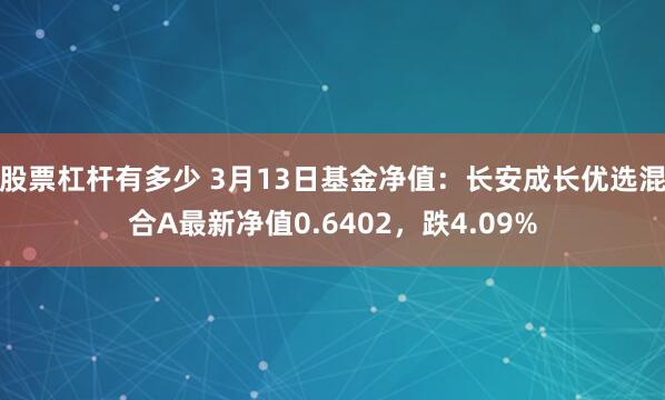 股票杠杆有多少 3月13日基金净值：长安成长优选混合A最新净值0.6402，跌4.09%