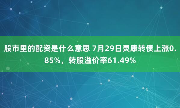 股市里的配资是什么意思 7月29日灵康转债上涨0.85%，转股溢价率61.49%