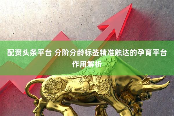 配资头条平台 分阶分龄标签精准触达的孕育平台作用解析
