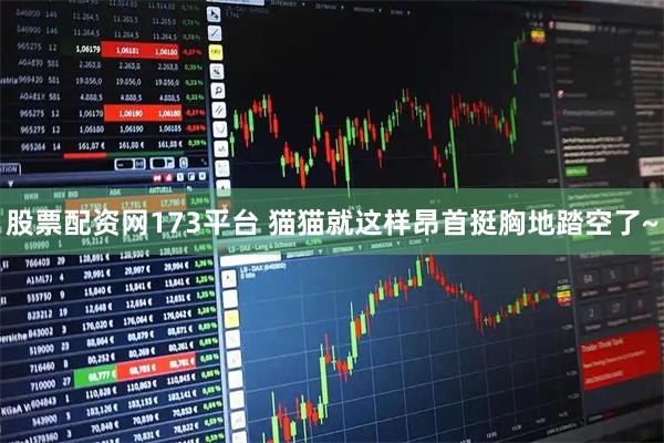 股票配资网173平台 猫猫就这样昂首挺胸地踏空了~